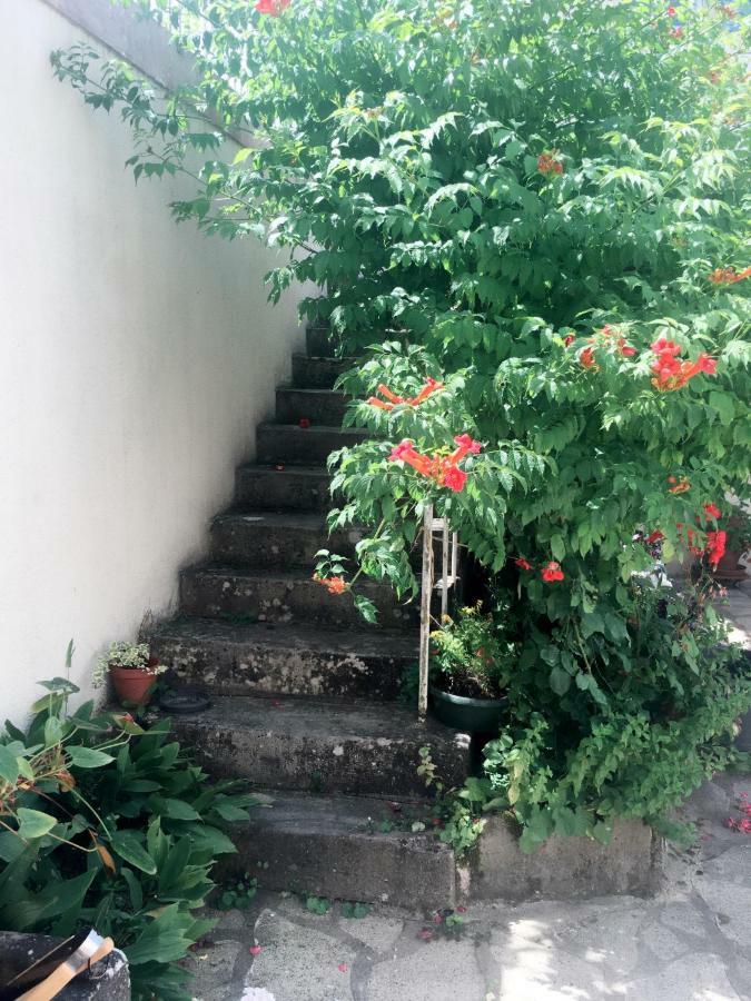Le Muguet Bed & Breakfast Saint-Georges-sur-Cher Ngoại thất bức ảnh